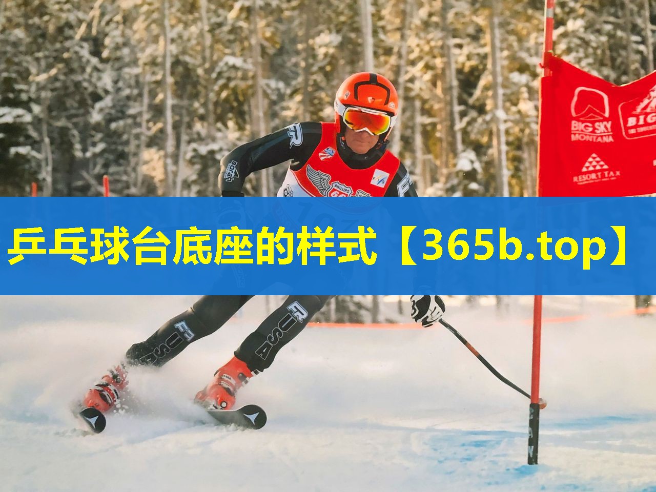 乒乓球台底座的样式 乒乓球台底座的样式