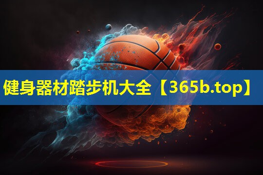 健身器材踏步机大全 健身器材踏步机大全
